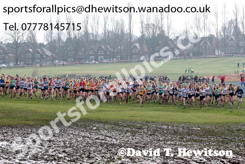 Start of the of the senior womens Inter Counties Cross Country, Cofton Park, Birmingham. Photo: David T. Hewitson/Sports for All Pics